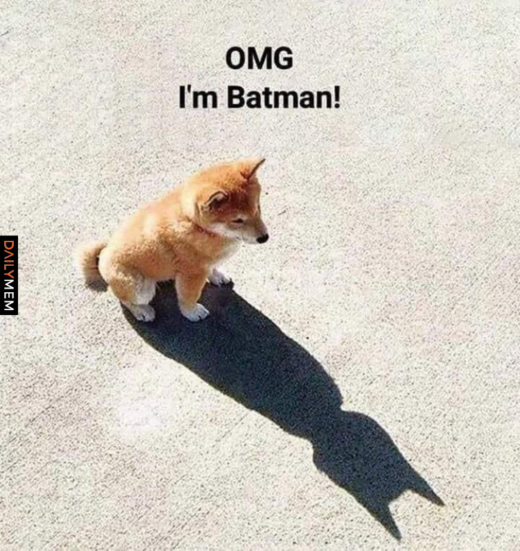Batman Pieseł