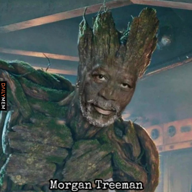 Morgan T(F)reeman