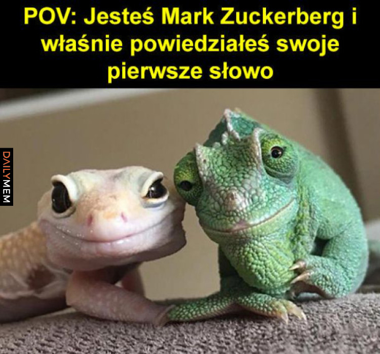 POV Zuckerberg