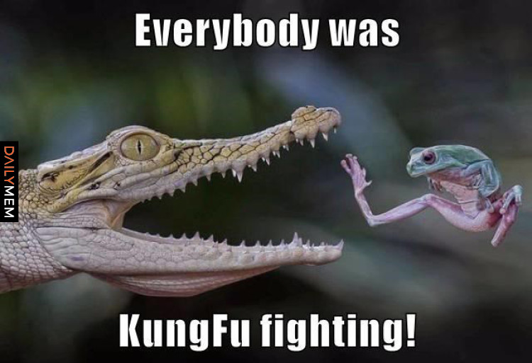 Kung fu fighting