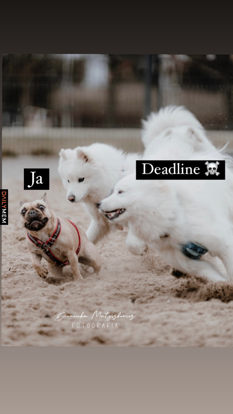 Gdy goni Cię deadline