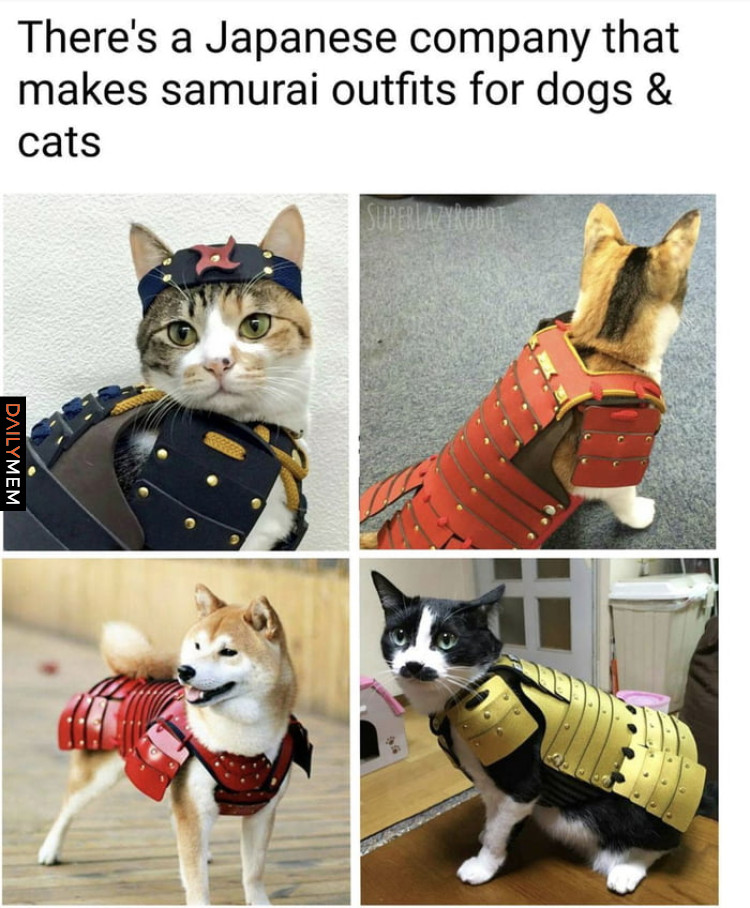 Samurai CAT