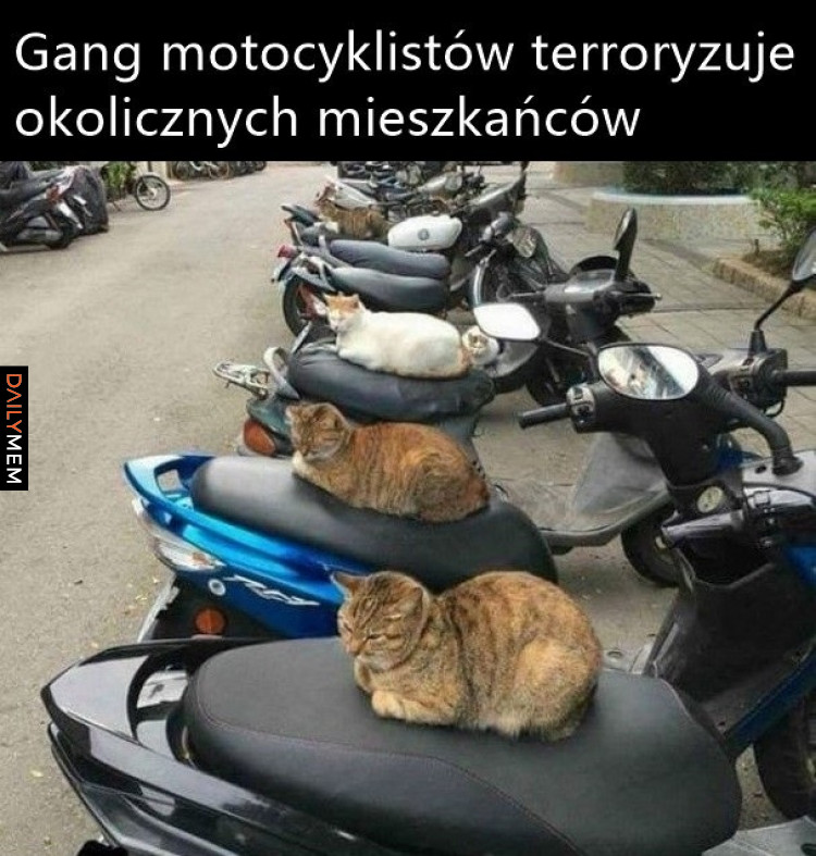 Gang motocyklowy
