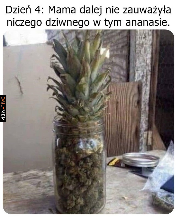 Egzotyczny ananas